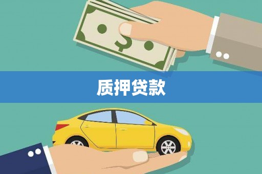 开县质押贷款