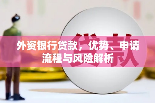 开县外资银行贷款，优势、申请流程与风险解析
