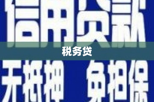 开县税务贷