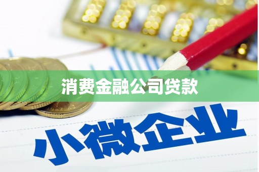 开县消费金融公司贷款