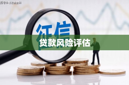 开县贷款风险评估