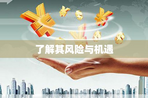 开县了解其风险与机遇