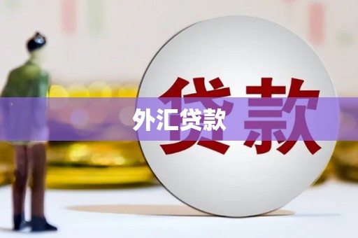 开县外汇贷款