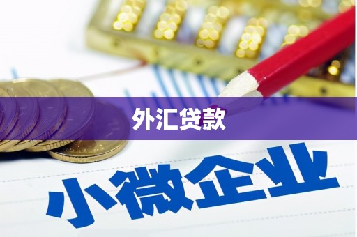 开县外汇贷款