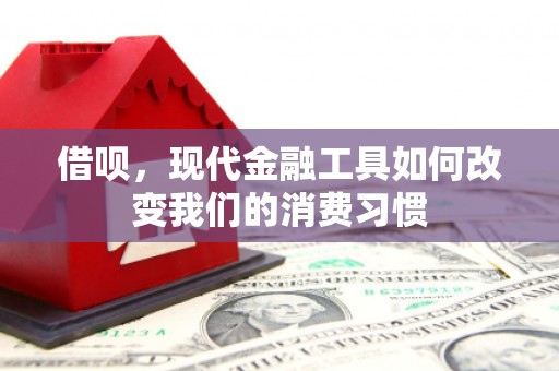 开县借呗，现代金融工具如何改变我们的消费习惯