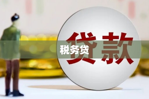 开县税务贷