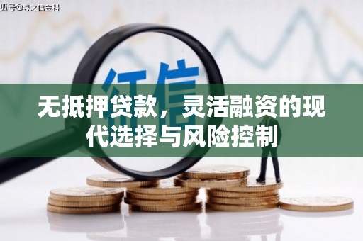 开县无抵押贷款，灵活融资的现代选择与风险控制
