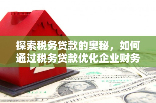 开县探索税务贷款的奥秘，如何通过税务贷款优化企业财务