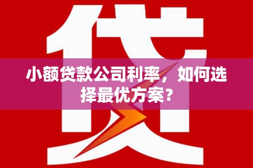 开县小额贷款公司利率，如何选择最优方案？