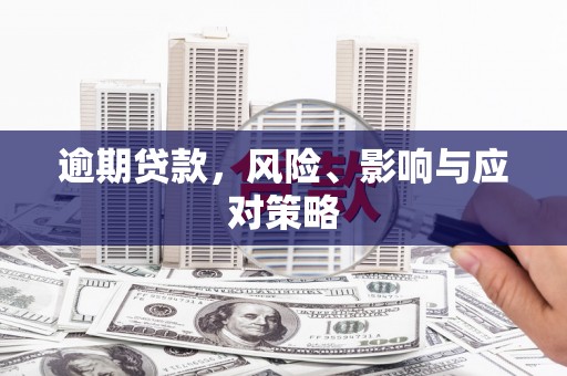 开县逾期贷款，风险、影响与应对策略