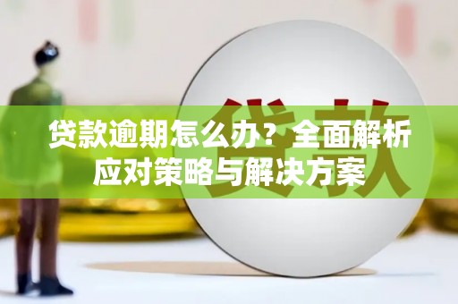开县贷款逾期怎么办？全面解析应对策略与解决方案