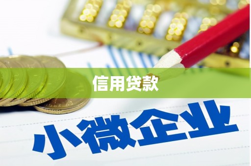 开县信用贷款
