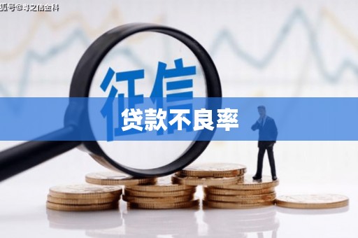 开县贷款不良率