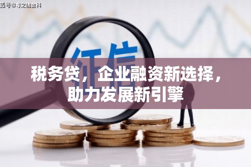 开县税务贷，企业融资新选择，助力发展新引擎