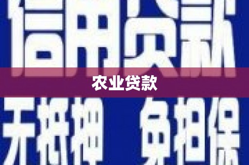 开县农业贷款