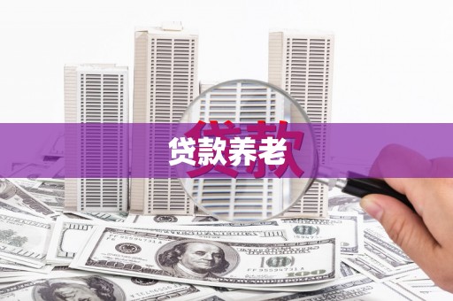 开县贷款养老