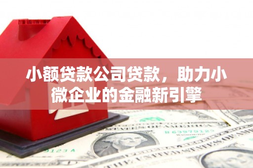 开县小额贷款公司贷款，助力小微企业的金融新引擎