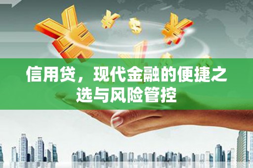 开县信用贷，现代金融的便捷之选与风险管控