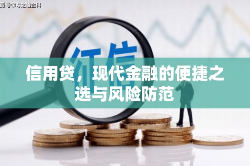 开县信用贷，现代金融的便捷之选与风险防范