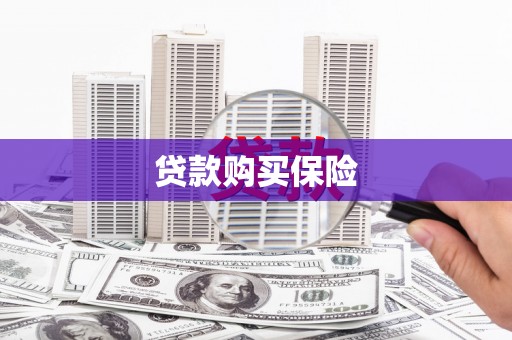 开县贷款购买保险