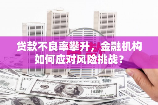 开县贷款不良率攀升，金融机构如何应对风险挑战？