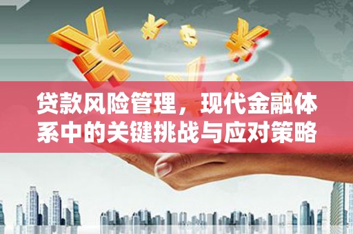 开县贷款风险管理，现代金融体系中的关键挑战与应对策略