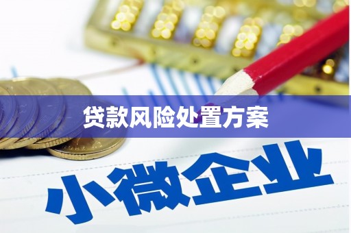开县贷款风险处置方案