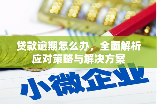 开县贷款逾期怎么办，全面解析应对策略与解决方案