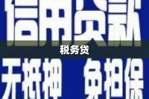 开县税务贷